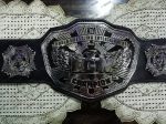ECW World Wrestling Entertainment Champion replica belt