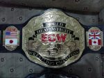 World Heavyweight ECW Wrestling Champion replica belt