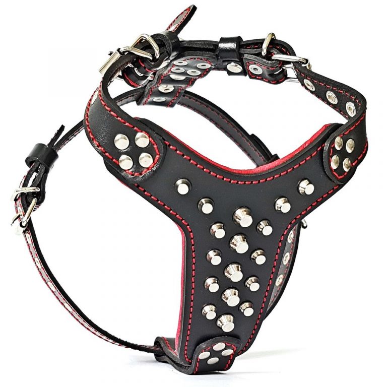 Rocky studded leather harness - SSI Championship Belts