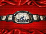 Fantasy Football Champion belt2