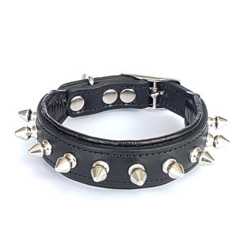 Spiky Dog Collar ⋆ SSI Championship Belts