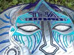 TNA Jeff hardy Immortal Championship Belt, Wrestling Belt