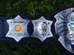 TNA Jeff hardy Immortal Championship Belt, Wrestling Belt