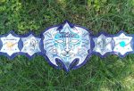 TNA Jeff hardy Immortal Championship Belt, Wrestling Belt