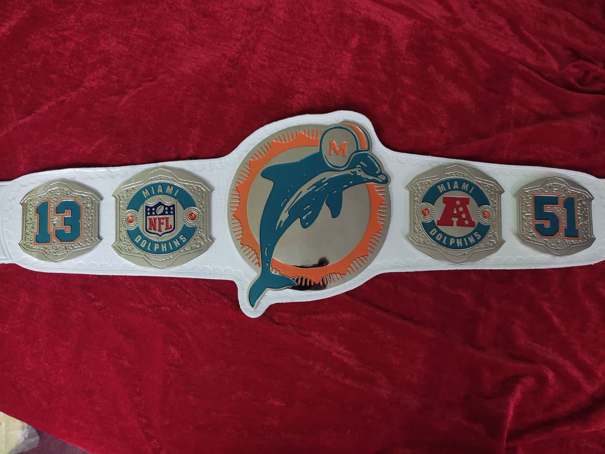 NFl Miami Dolphins Custom Message Cookies